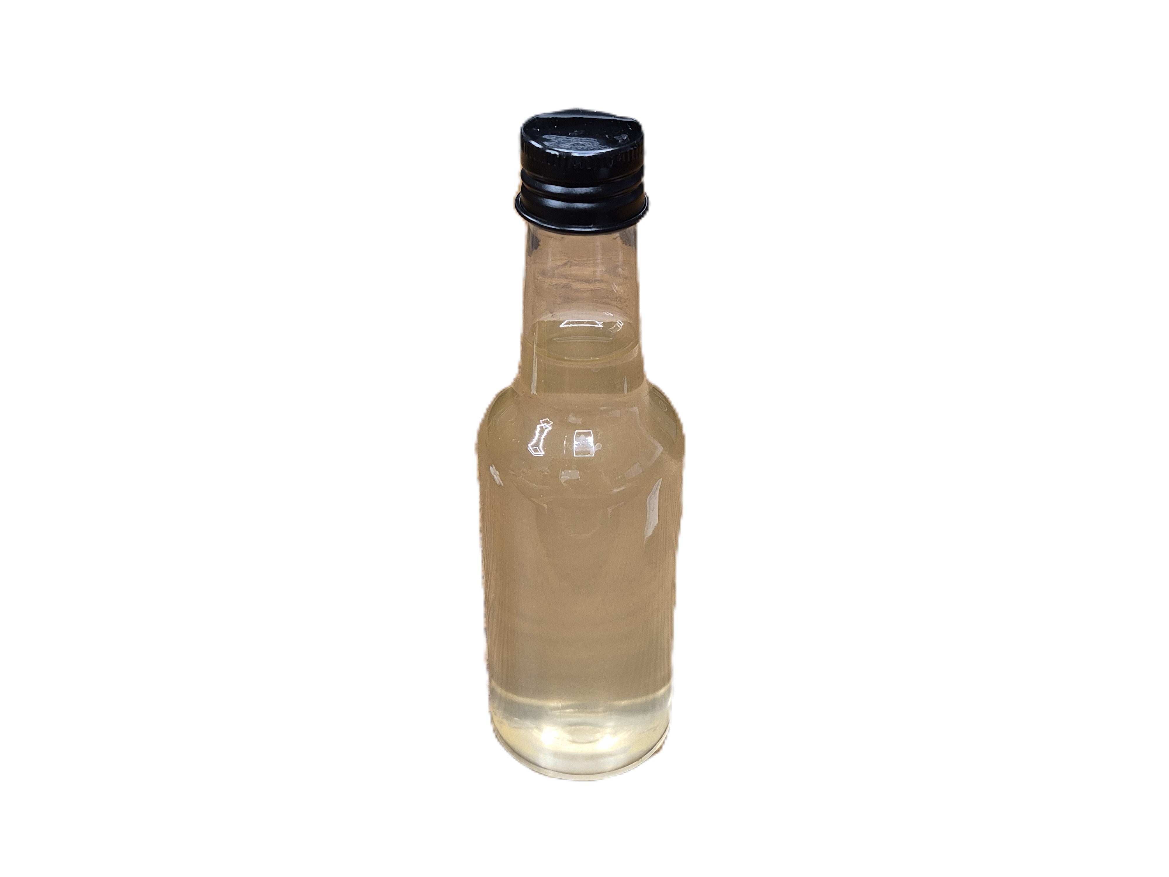 Live Vinegar Eels Culture Kit