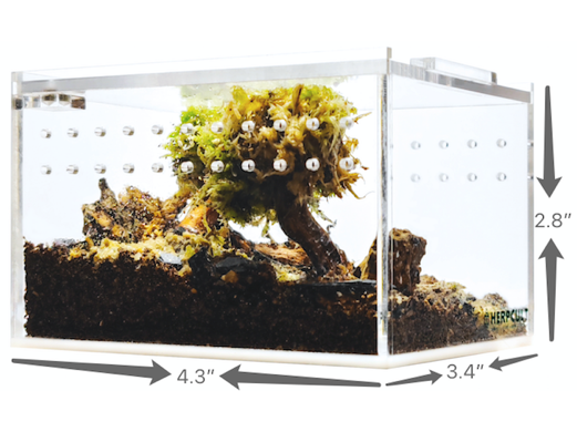 Herpcult Acrylic Enclosure Mini-Flat 4.3"x3.4"x2.8" Herpcult