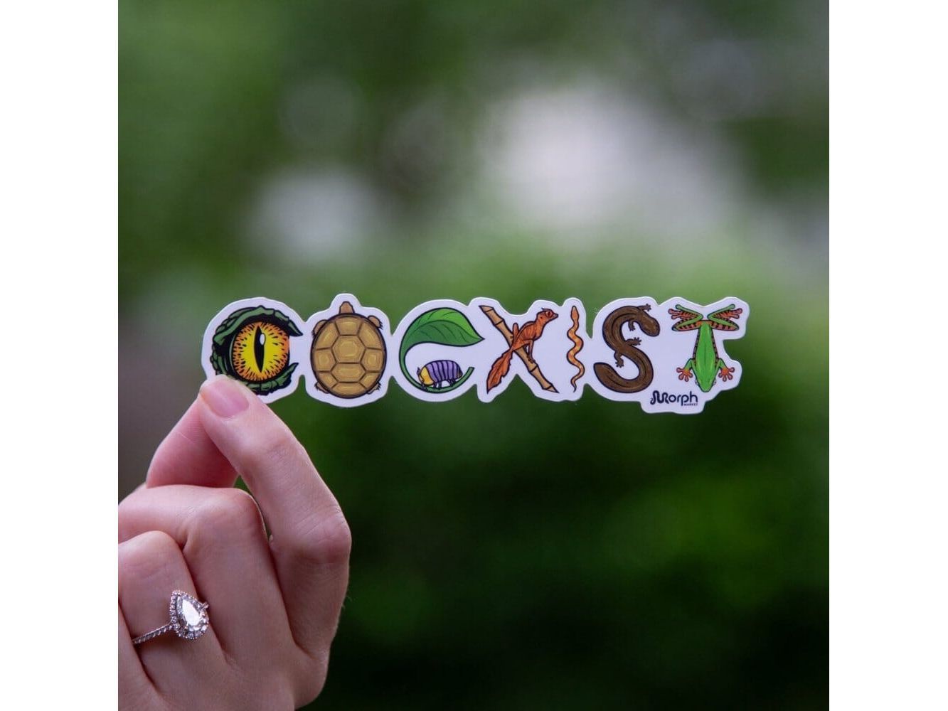 Coexist Sticker (Color) Sticker Dubia.com Die-Cut