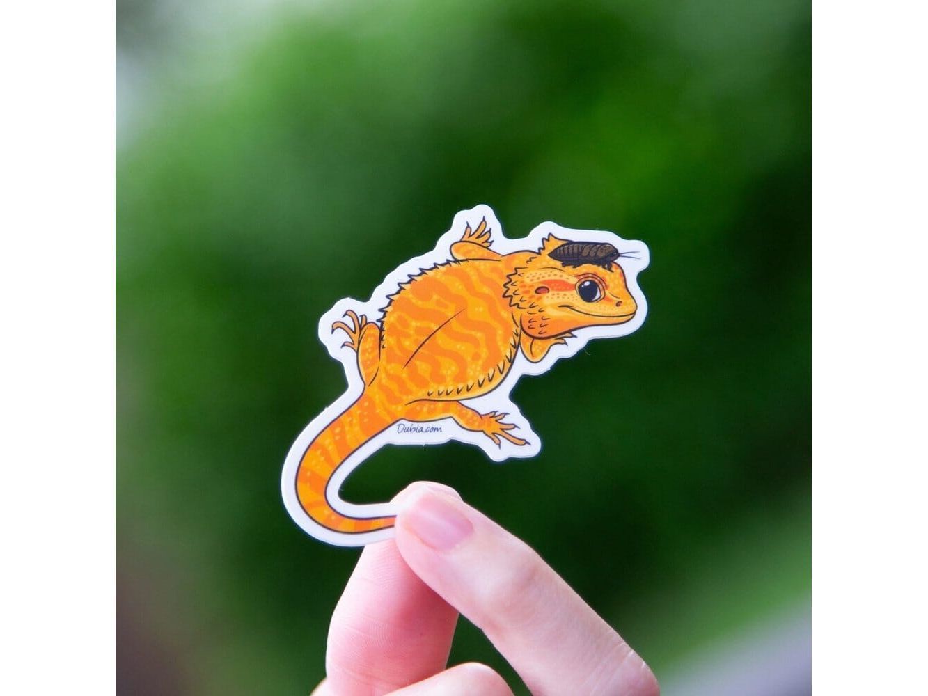Orange Beardie Sticker Sticker Dubia.com Die-Cut