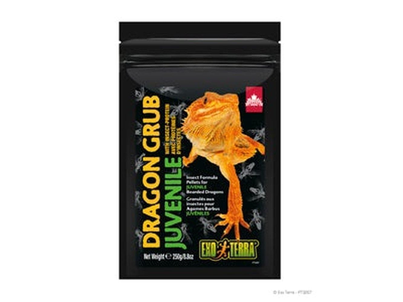 Exo Terra Dragon Grub Juvenile, 8.8oz Exo Terra
