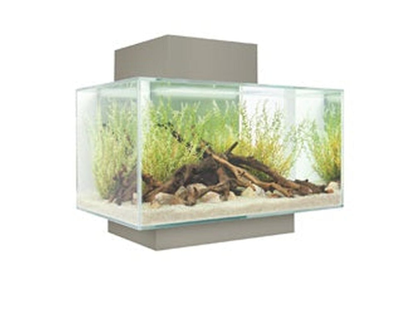 Fluval Edge 2.0 6 Gallon Aquarium White Fish Supplies Fluval