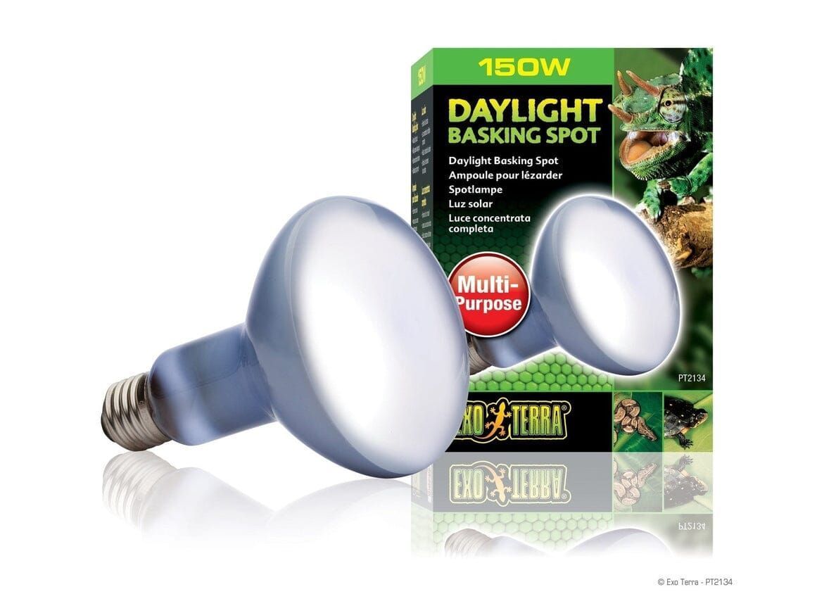 Exo Terra Daylight Basking Spot, 150W Exo Terra