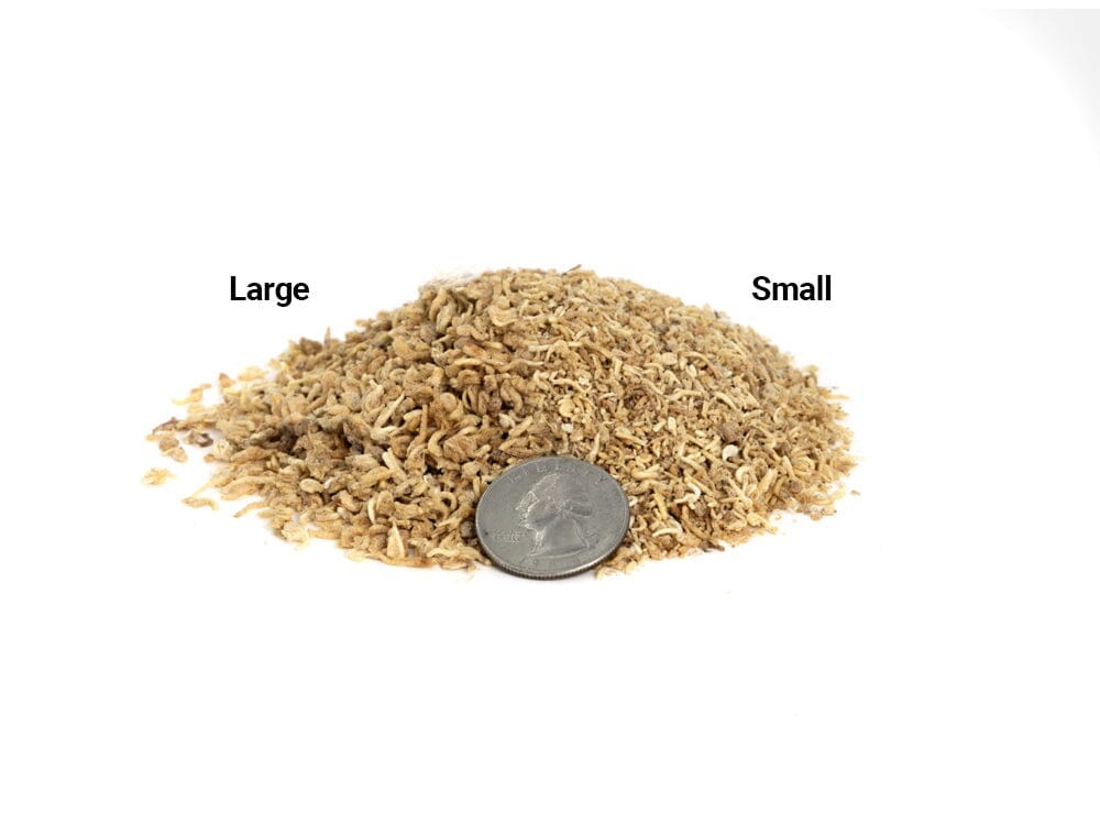Freeze Dried Mysis Shrimp Dubia.com