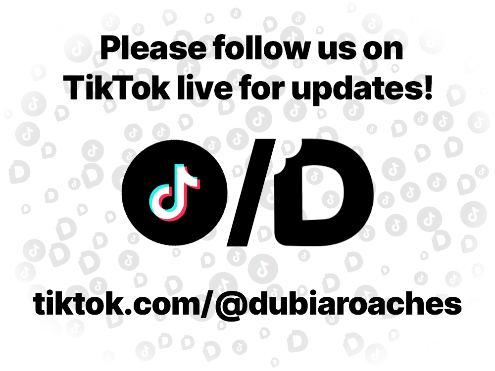 6x2x2 (180 Gallon) Reptile Enclosure V3