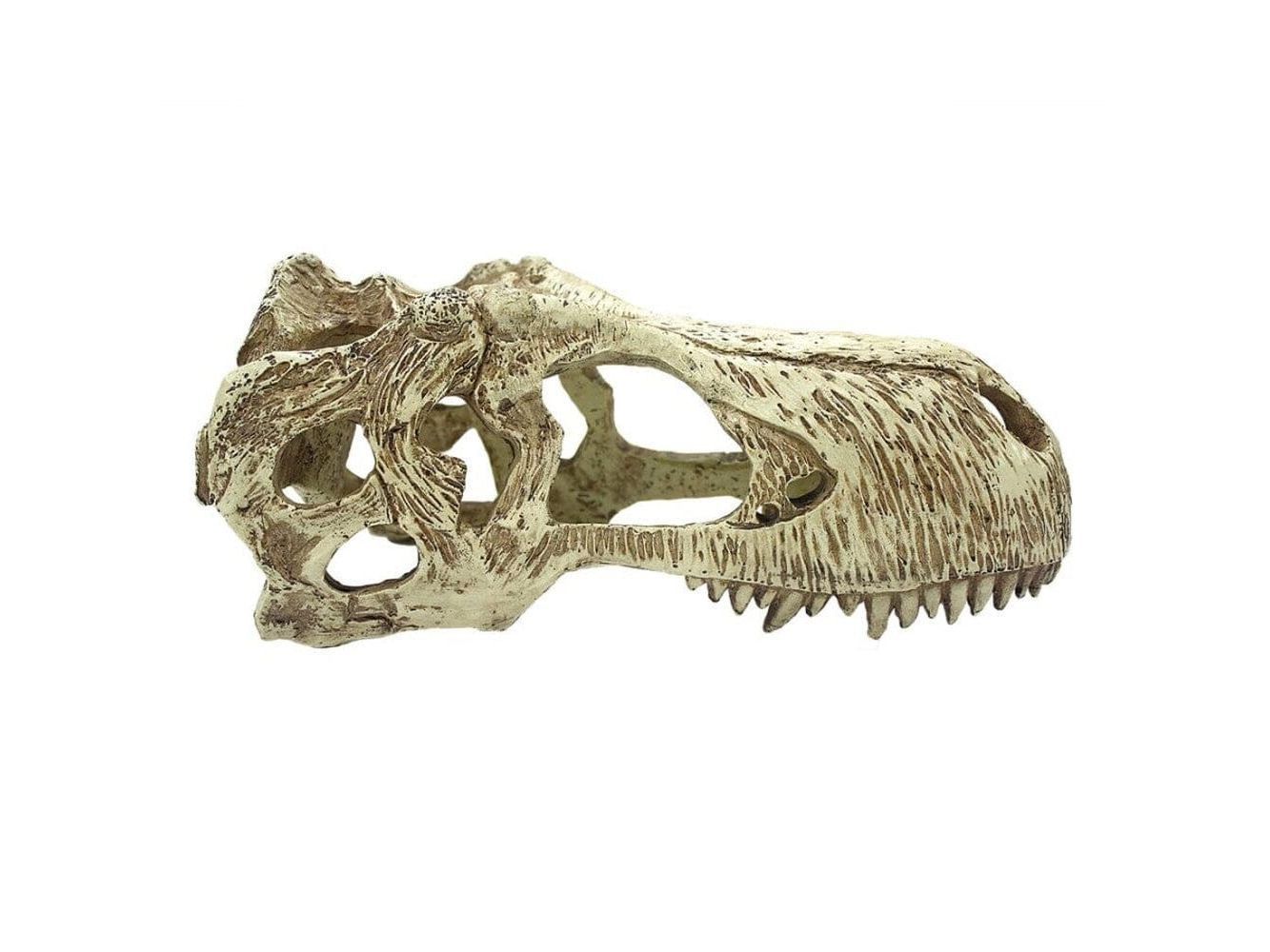 Komodo T-Rex Skull Reptile Hideout Tan XL Komodo