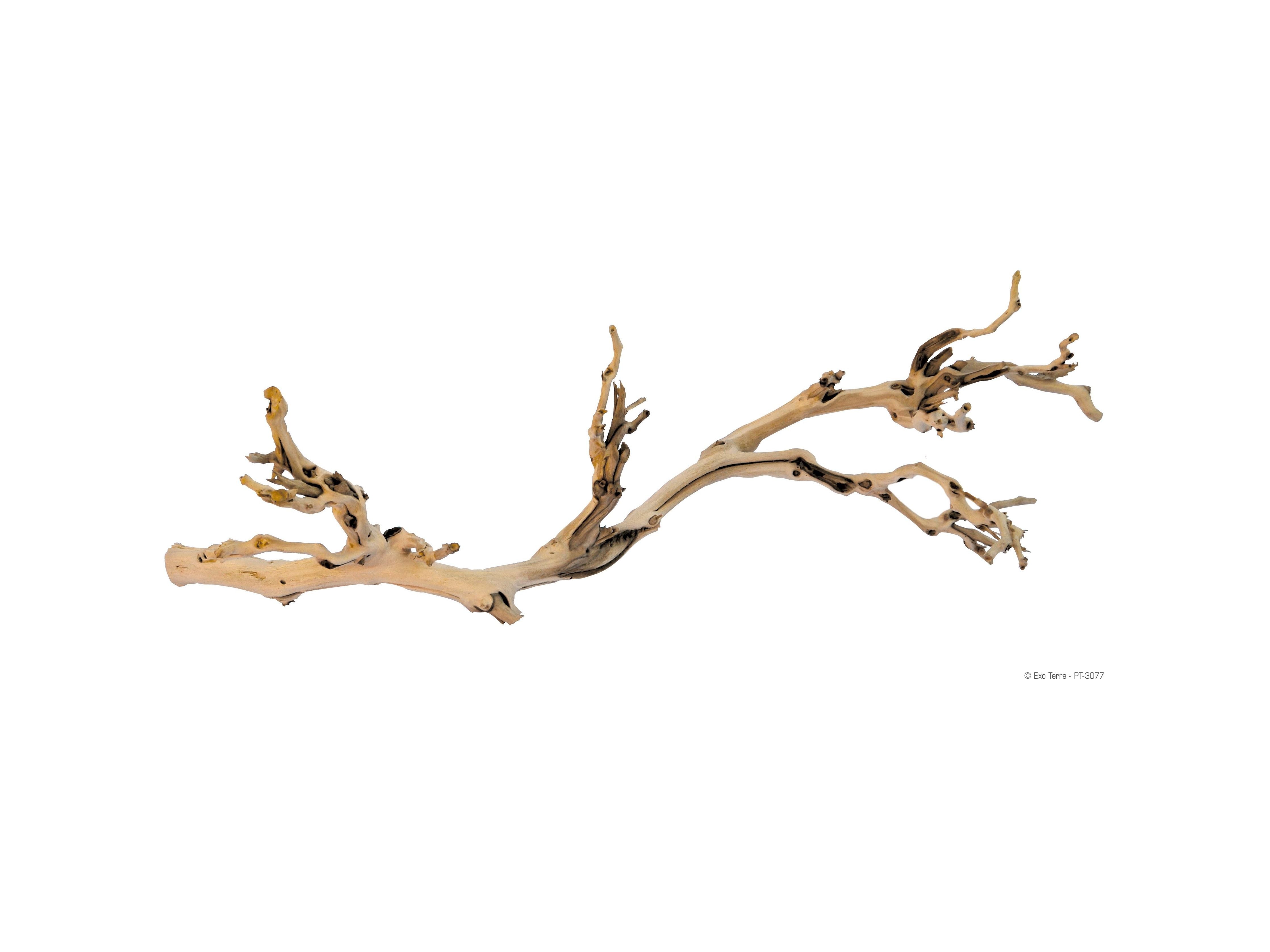 Exo Terra Forest Branch Large
