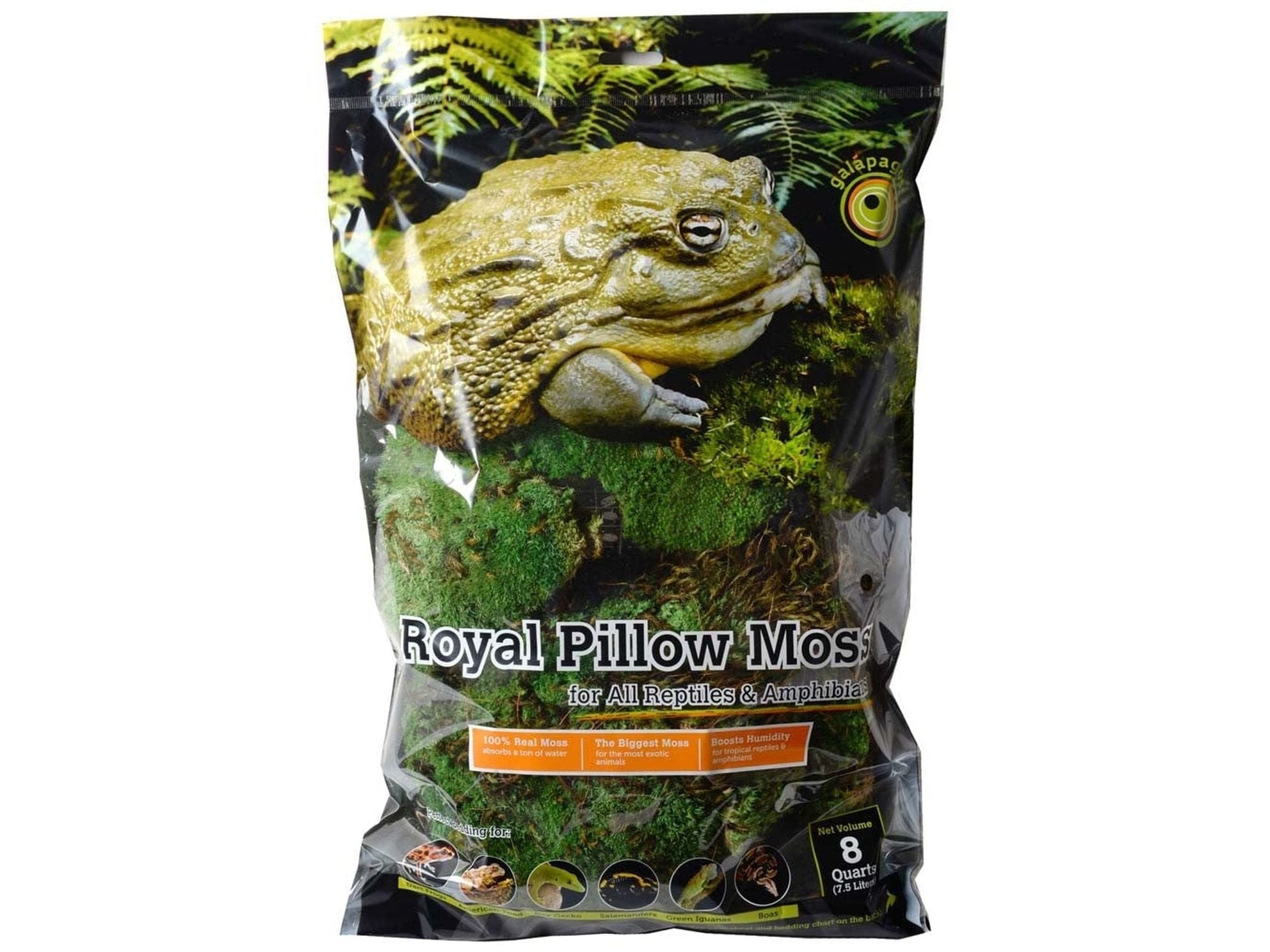 Galapagos Royal Pillow Moss, 8qt Galapagos