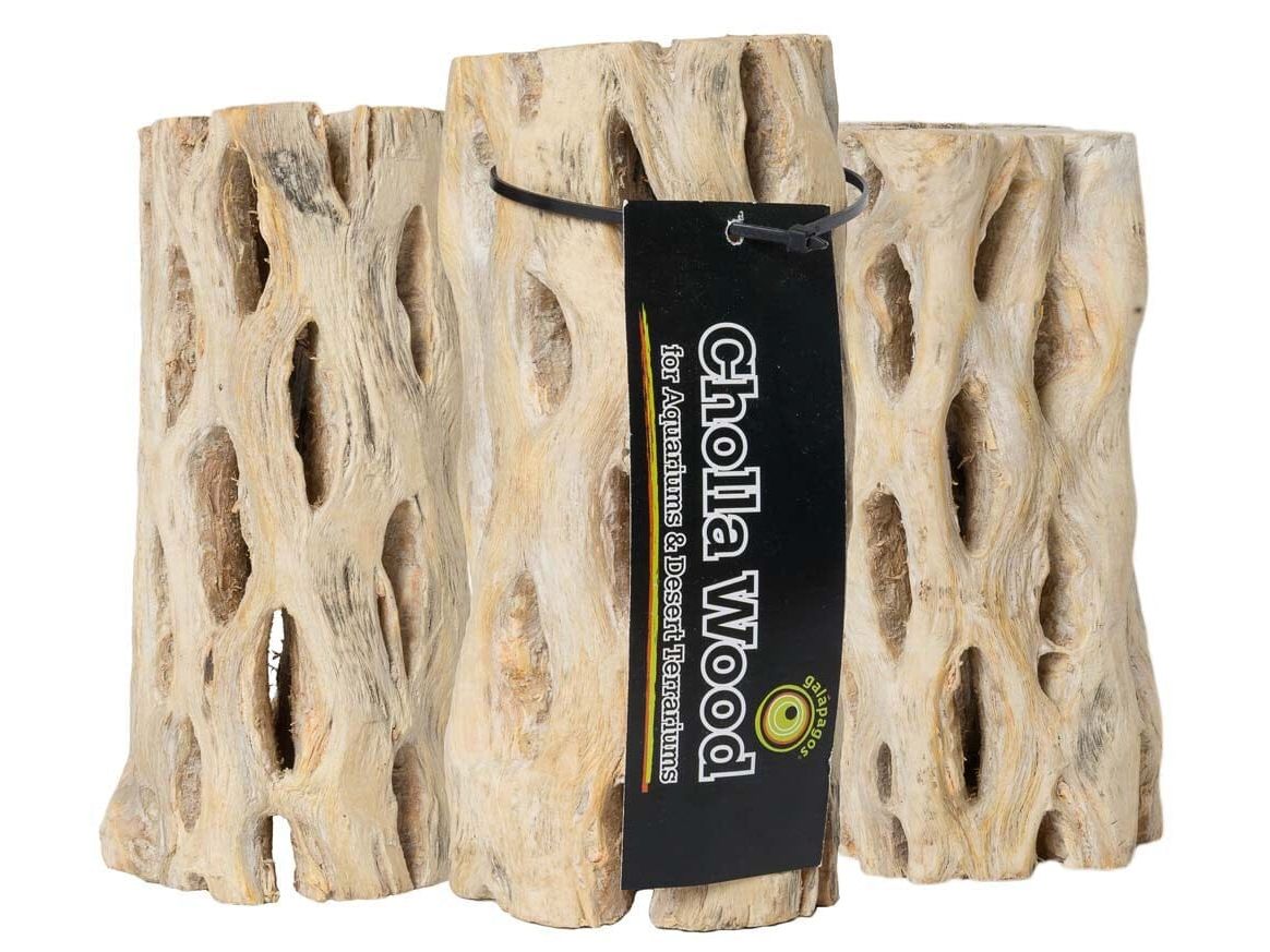 Galapagos Cholla Wood, 6" (3 pack) Galapagos