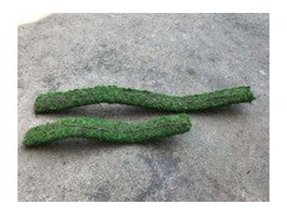 Galapagos Flexible Bridge, 24" (Fresh Green) Galapagos