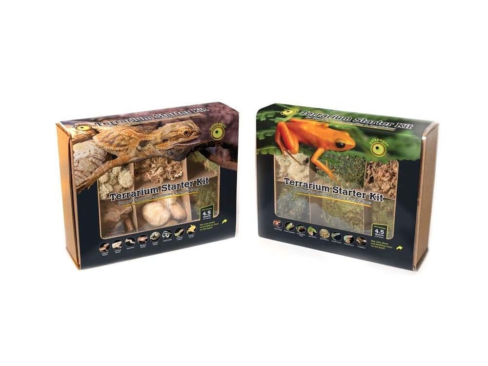 Galapagos Terrarium Starter Kit Arid Environment Box 4.5qt Galapagos