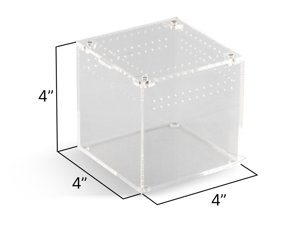 Acrylic Habitat 4x4x4