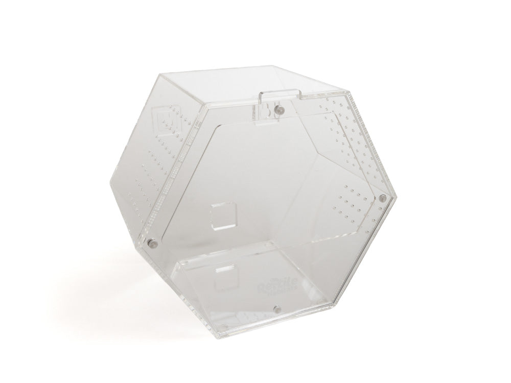 Acrylic Enclosure Hexagon (Medium) Reptile Habitats 