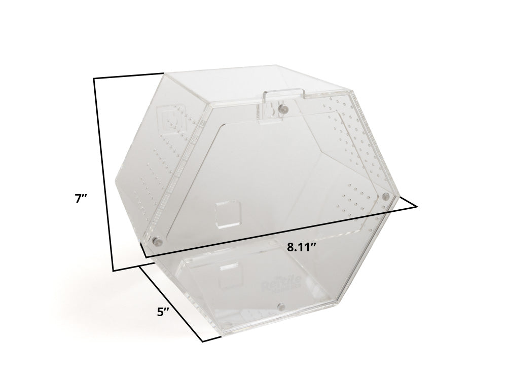 Acrylic Enclosure Hexagon (Medium) Reptile Habitats 