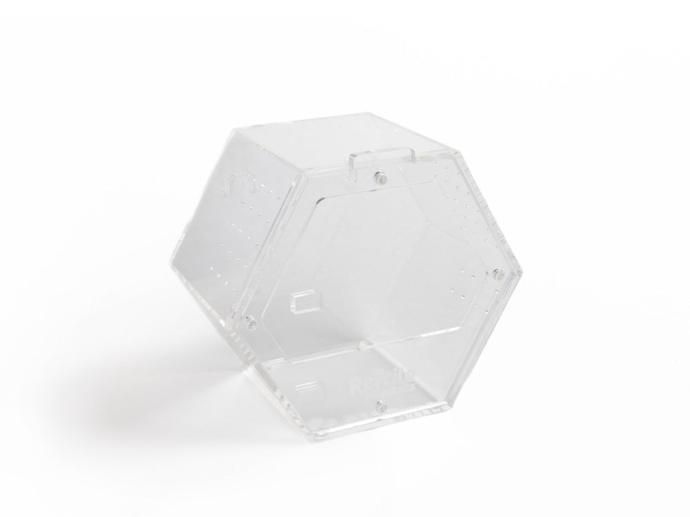 Acrylic Enclosure Hexagon (Small) Reptile Habitats 