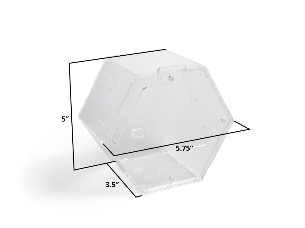 Acrylic Enclosure Hexagon (Small) Reptile Habitats 