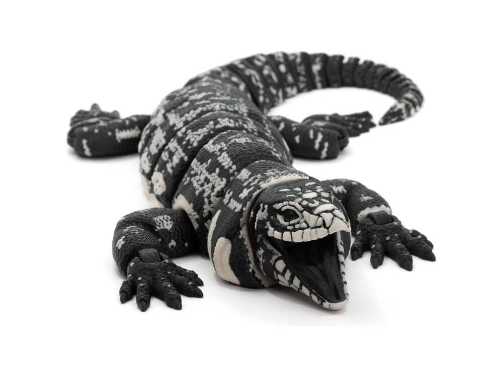3D Printed Realistic Argentina Black and White Tegu - Large