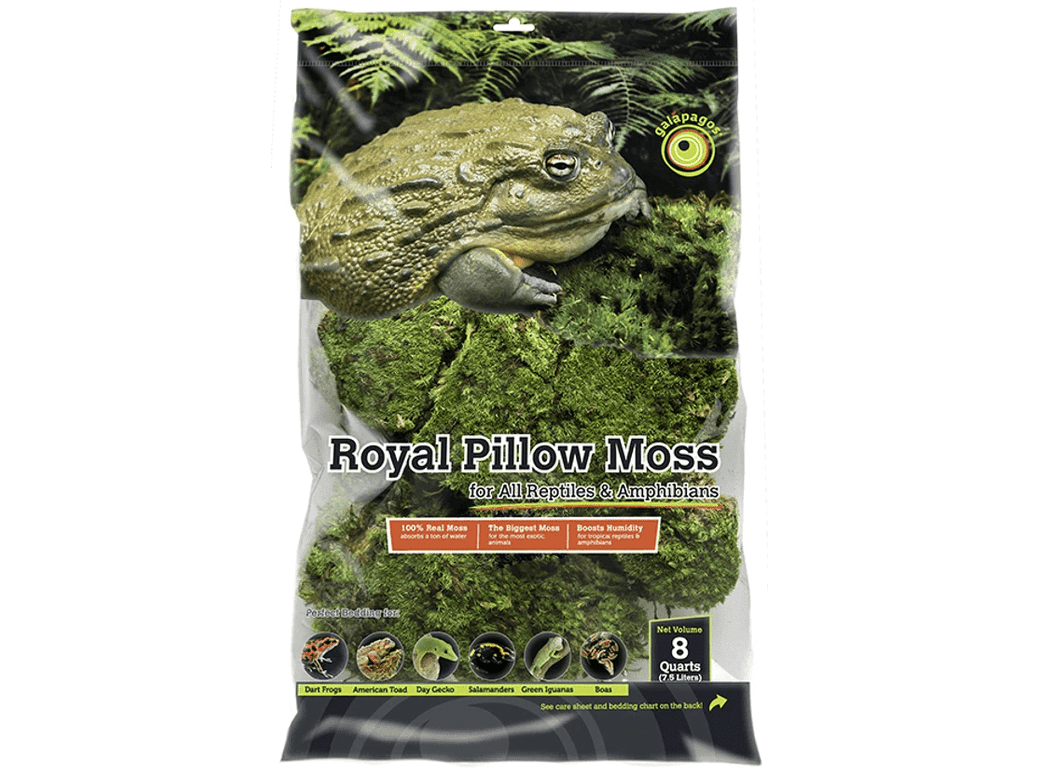Galapagos Royal Pillow Moss, 150 in³ Galapagos