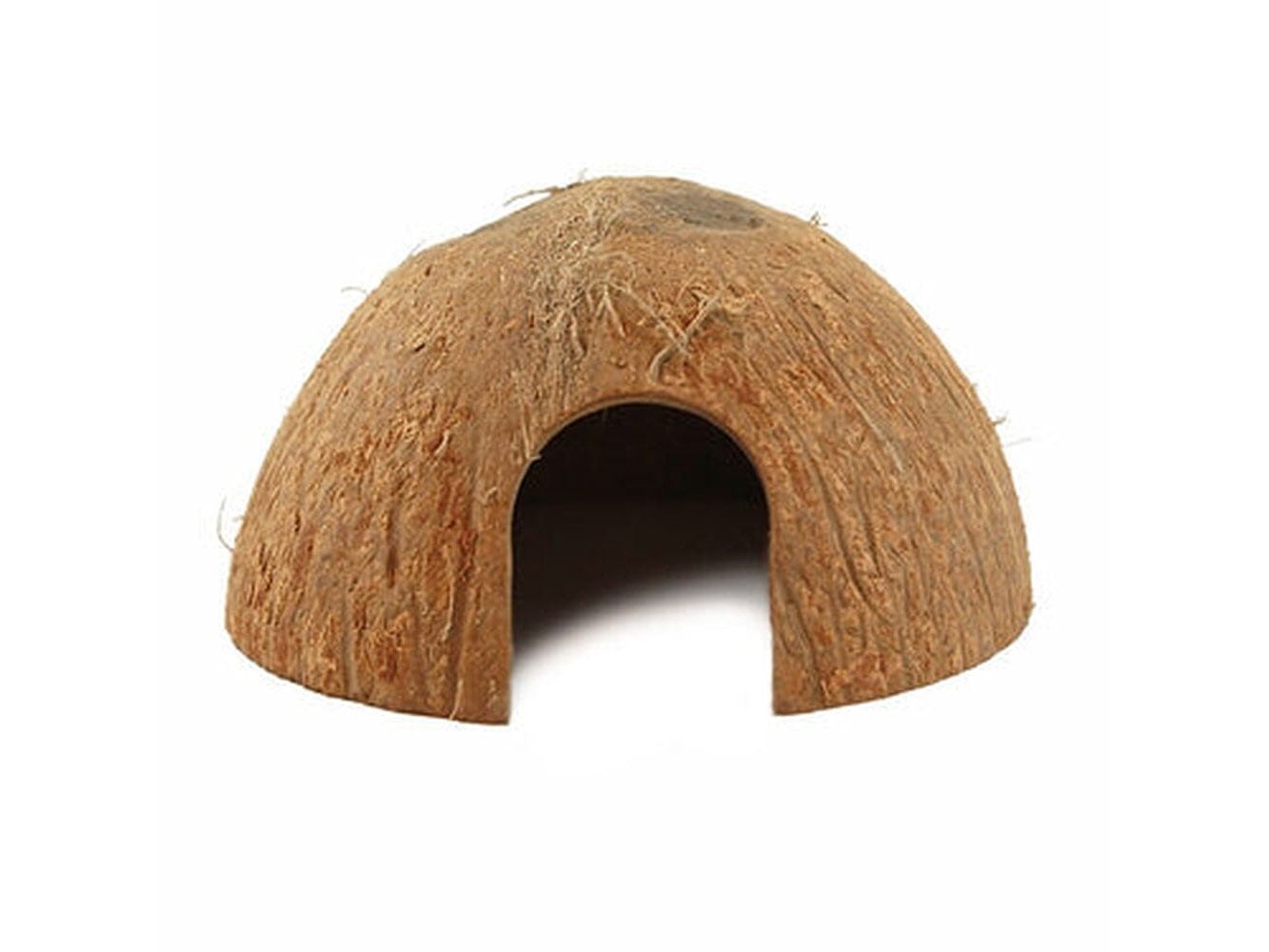 Pangea CocoHut Pangea