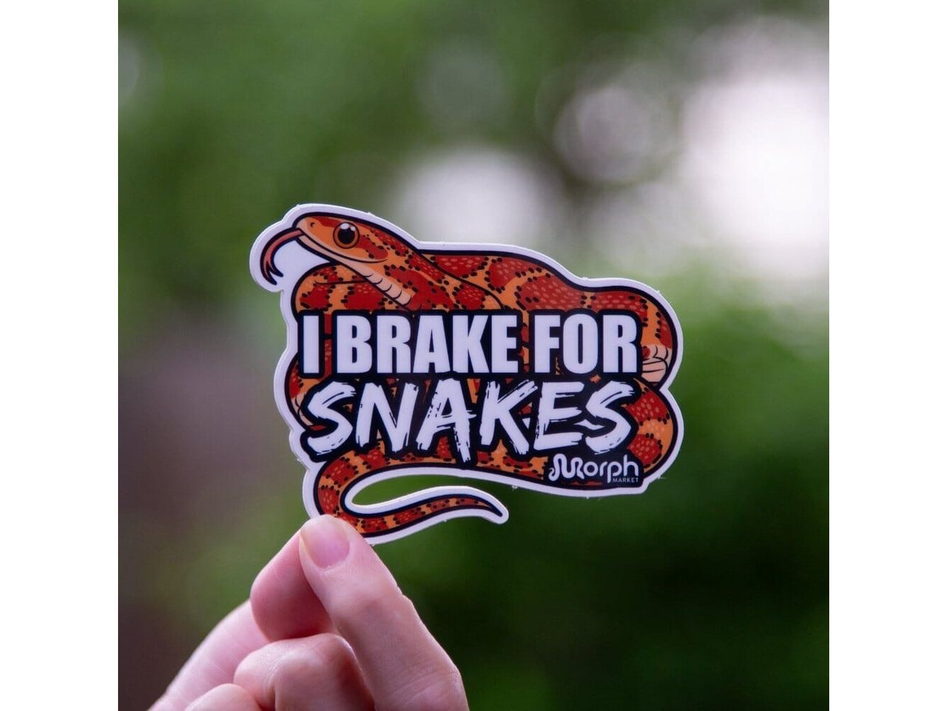 I Brake For Snakes Sticker Sticker Dubia.com Die-Cut