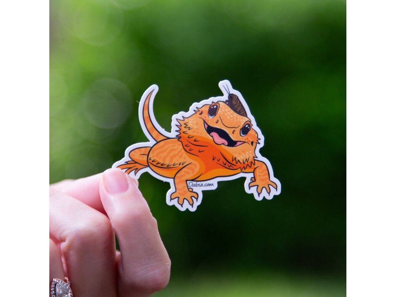 Orange Beardie Open Mouth Sticker Sticker Dubia.com Die-Cut