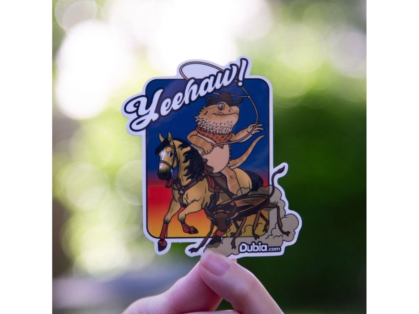 Yeehaw! Sticker Dubia.com Die-Cut