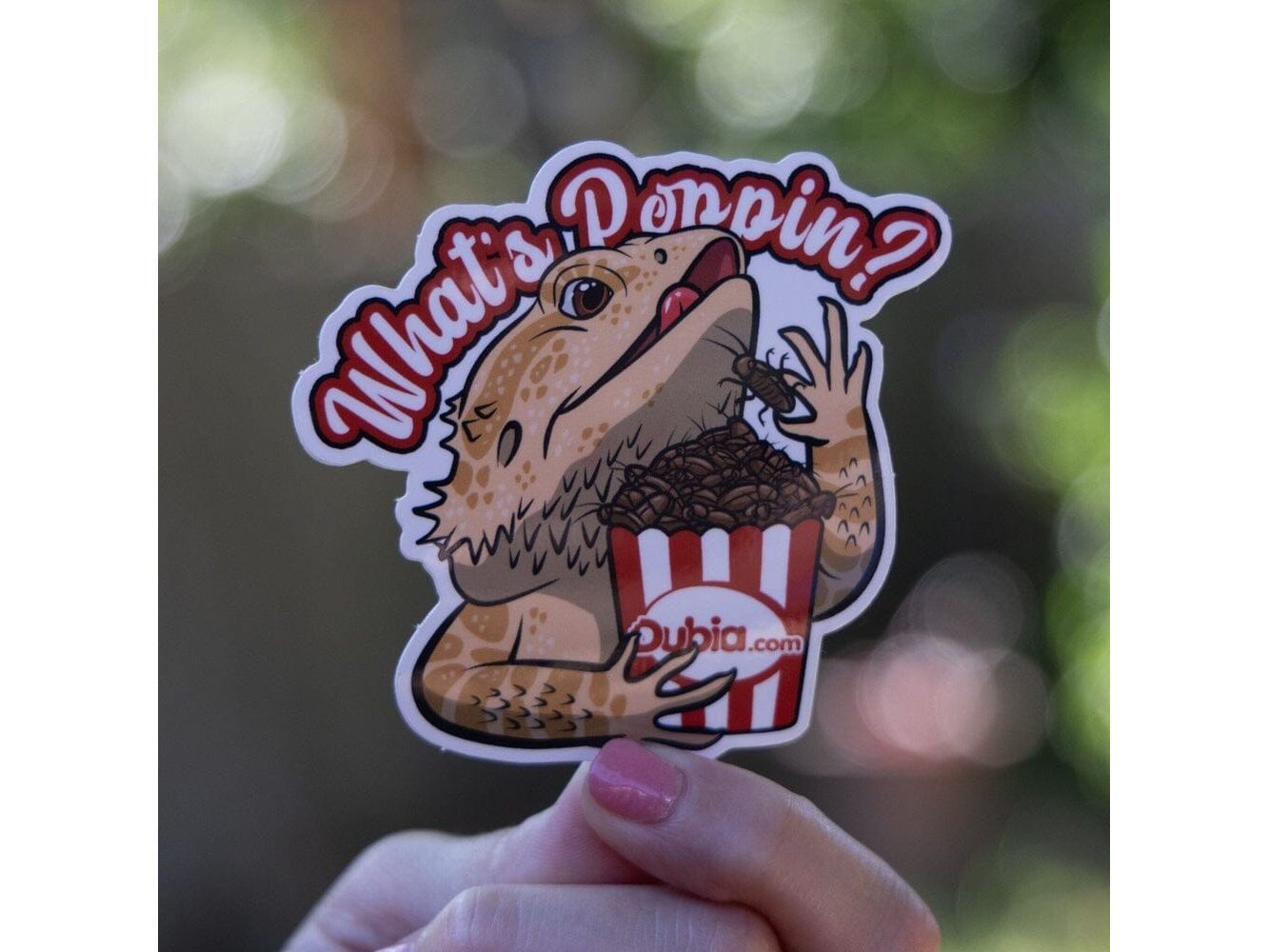 What's Poppin Sticker Dubia.com Die-Cut