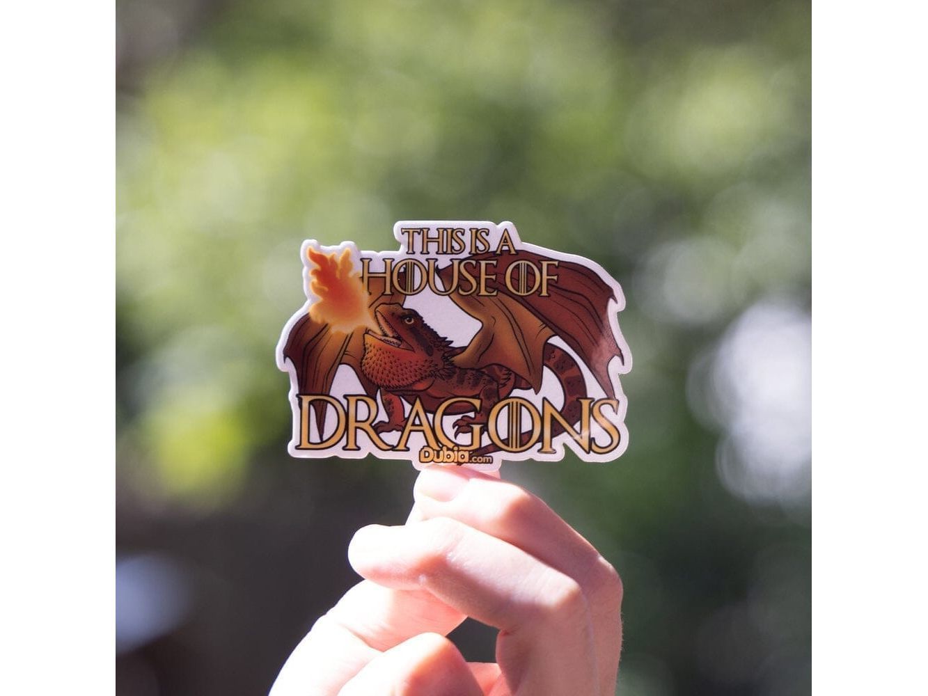 House of Dragons Sticker Sticker Dubia.com