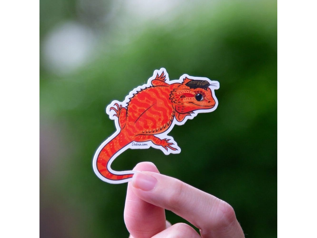Red Beardie Sticker Sticker Dubia.com Die-Cut