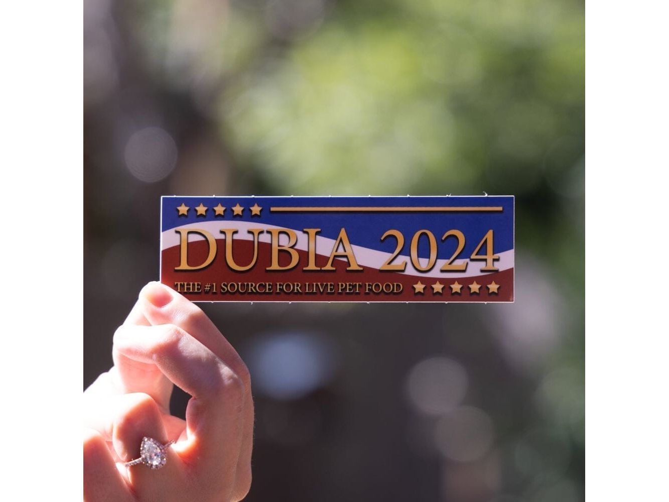Dubia 2024 Sticker Sticker Dubia.com