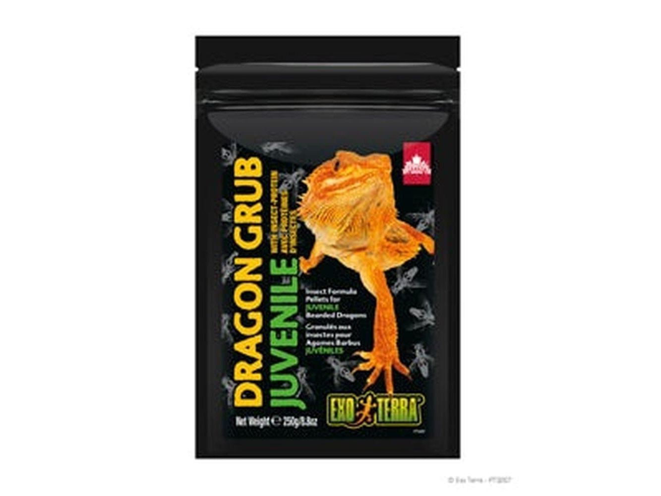 Exo Terra Dragon Grub Juvenile, 8.8oz Exo Terra