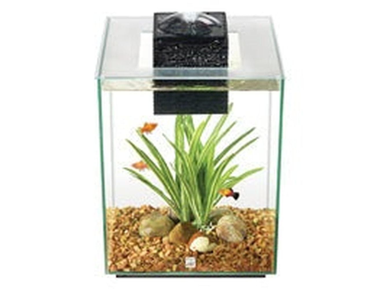 Fluval Chi - 19 L (5 US Gal) Fish Supplies Fluval