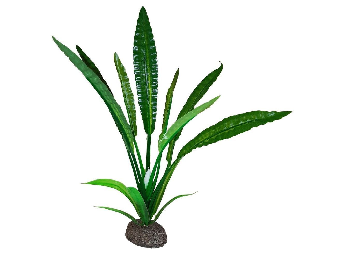 Fluval Betta Water Trumpet Plant - 20 cm (8 in) Fish Supplies Fluval