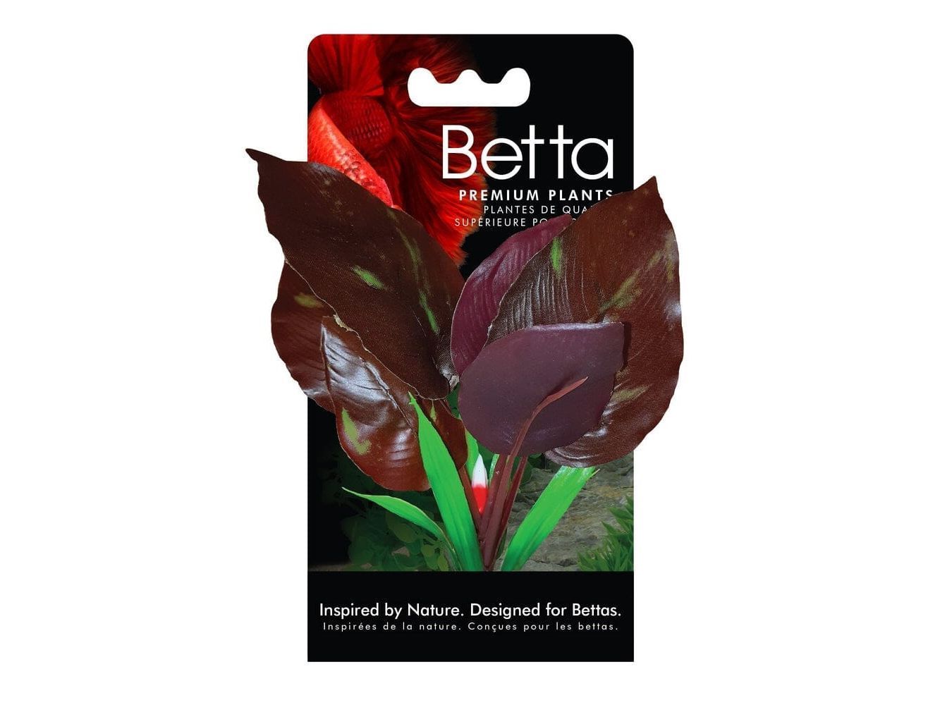 FLUVAL BETTA RED LIZARD PLANT - 15 CM (6 IN) Fish Supplies Fluval