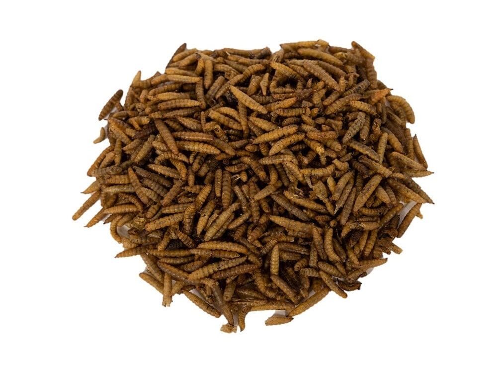 Dried NutriGrubs nutrigrubs DubiaRoaches.com