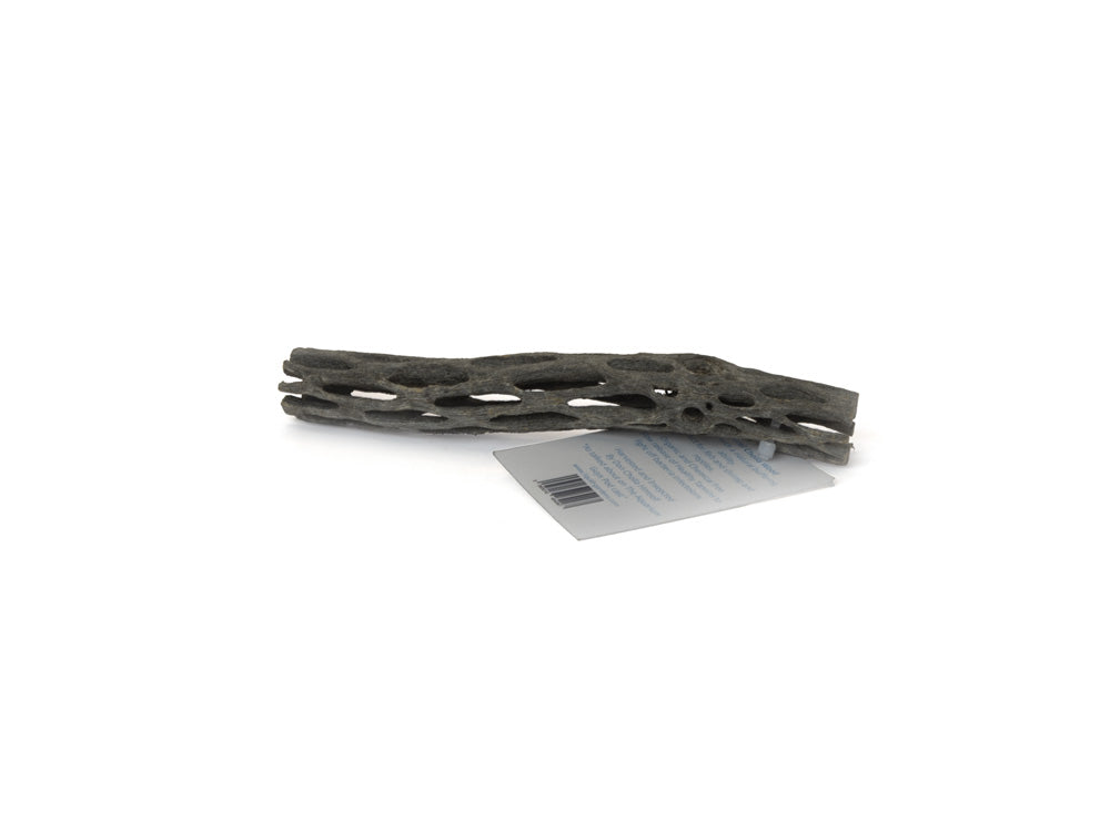 LG Cholla Wood 6in