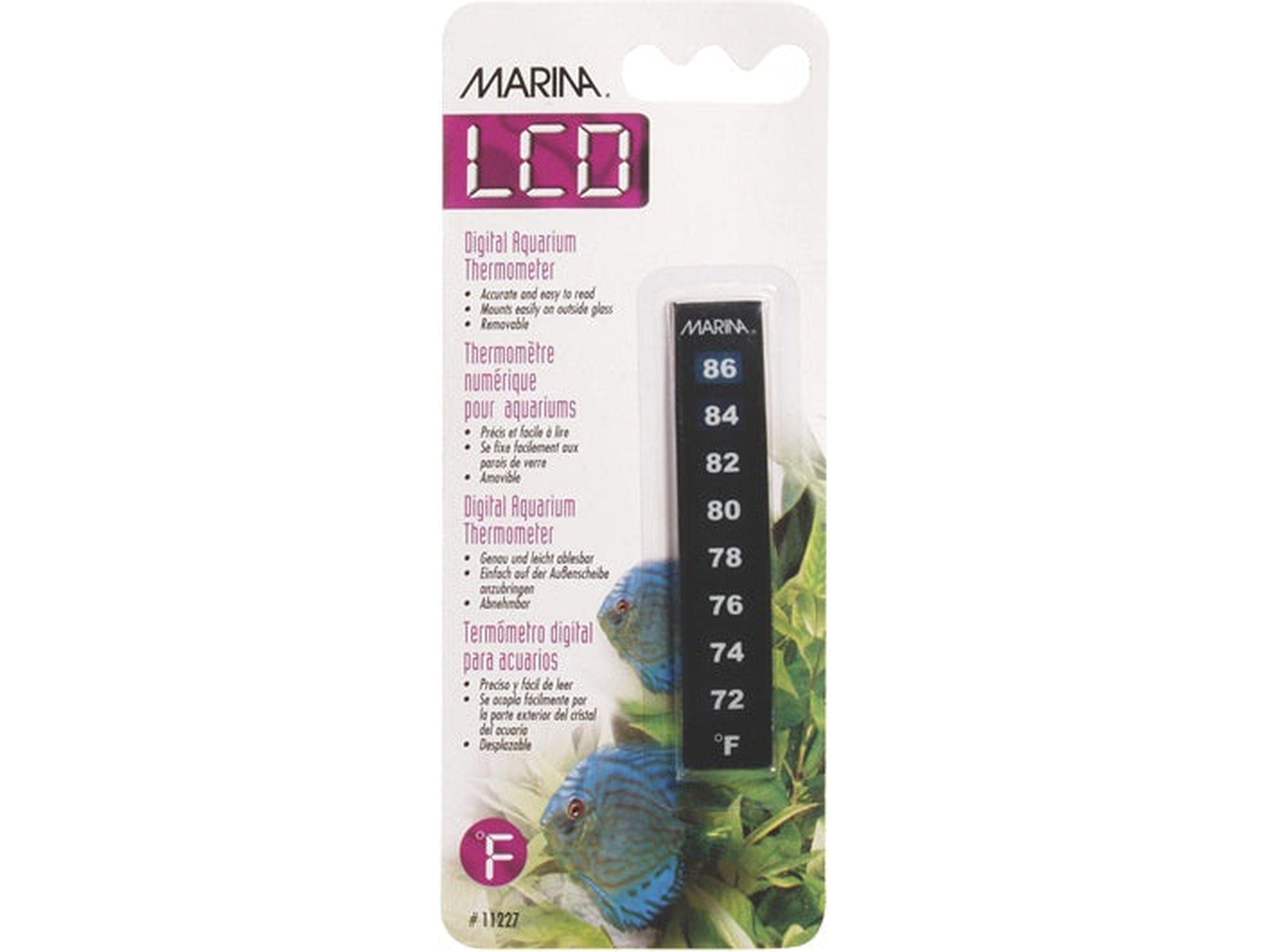 Marina Nova Thermometer Fahrenheit (LCD) Fish Supplies Marina