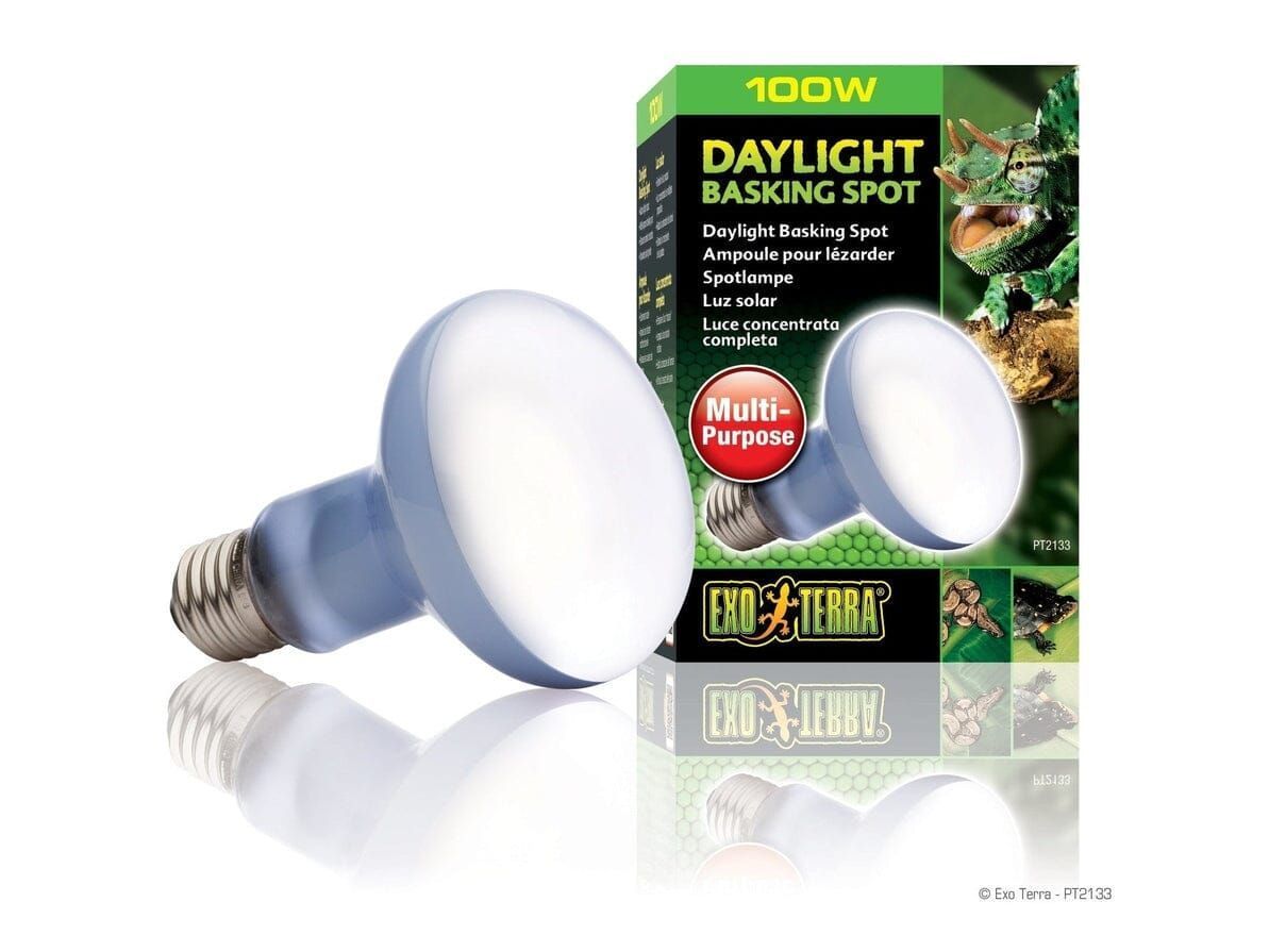 Exo Terra Daylight Basking Spot, 100w Exo Terra
