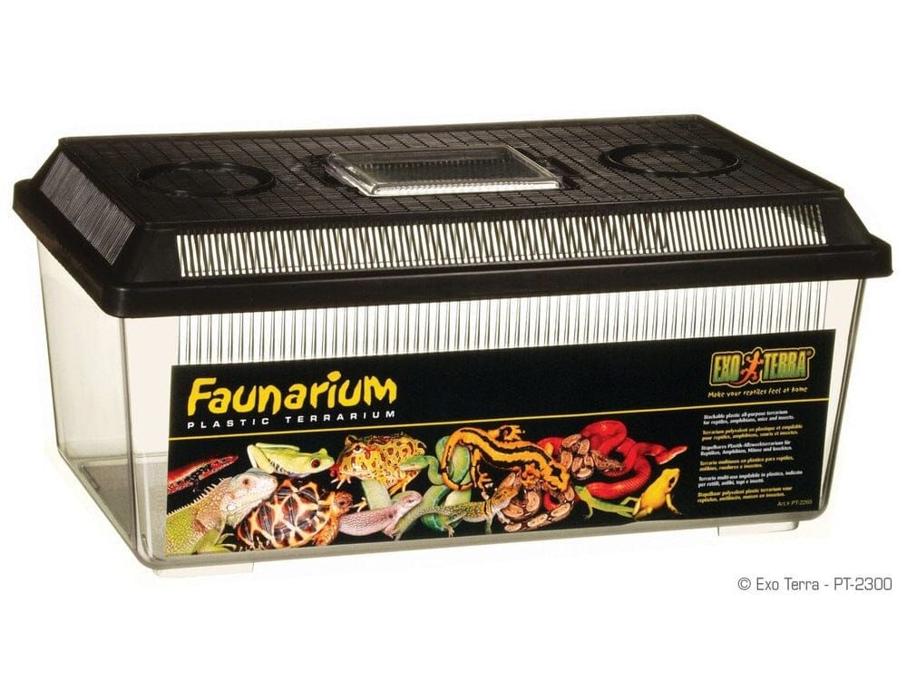 Exo Terra Faunarium, Flat Medium Exo Terra