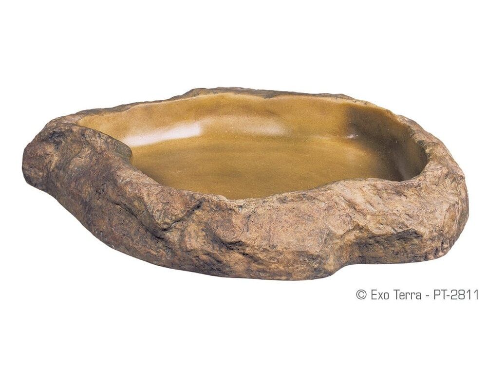 Exo Terra Feeding Dish Medium Exo Terra