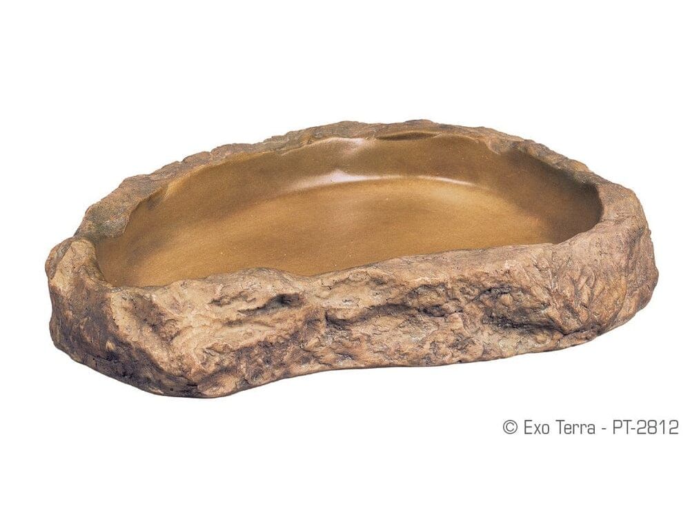 Exo Terra Feeding Dish Large Exo Terra