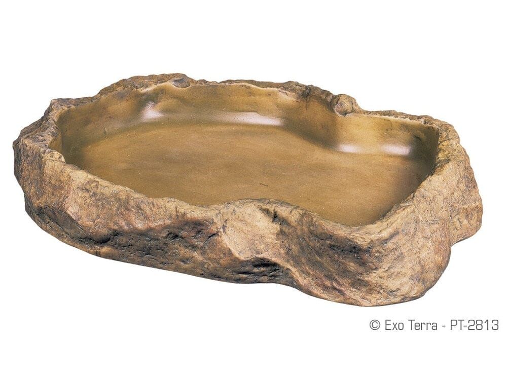 Exo Terra Feeding Dish X Large Exo Terra
