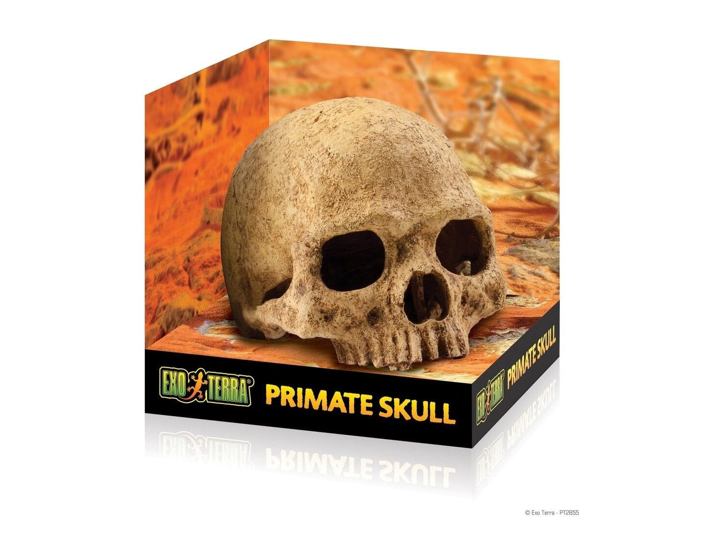 Exo Terra Primate Skull Exo Terra