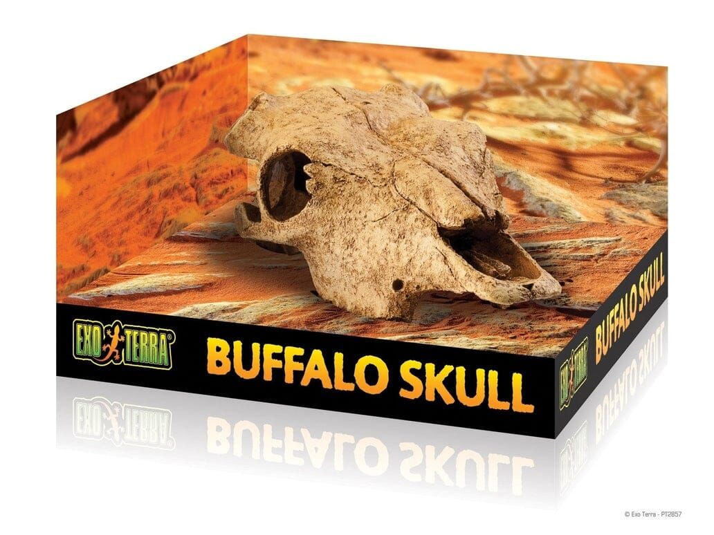 Exo Terra Buffalo Skull, Large Exo Terra