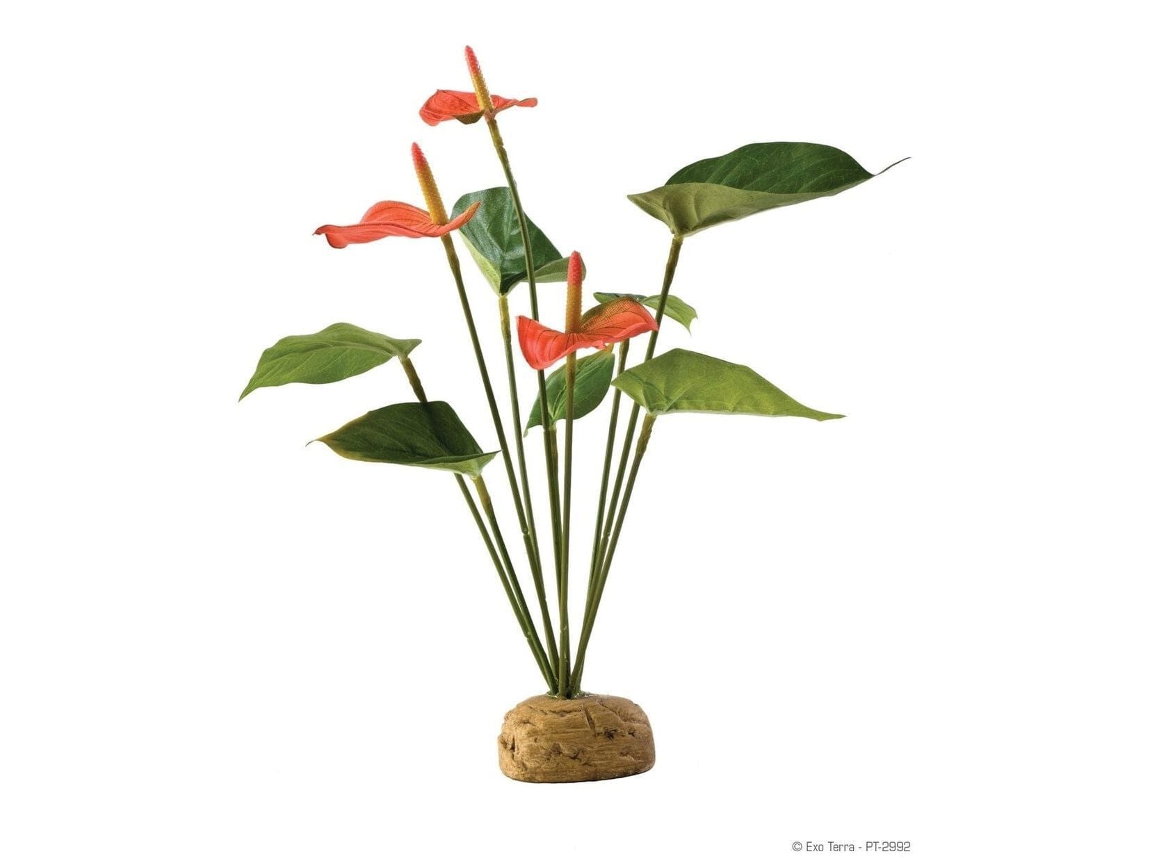 Exo Terra Anthurium Bush Exo Terra