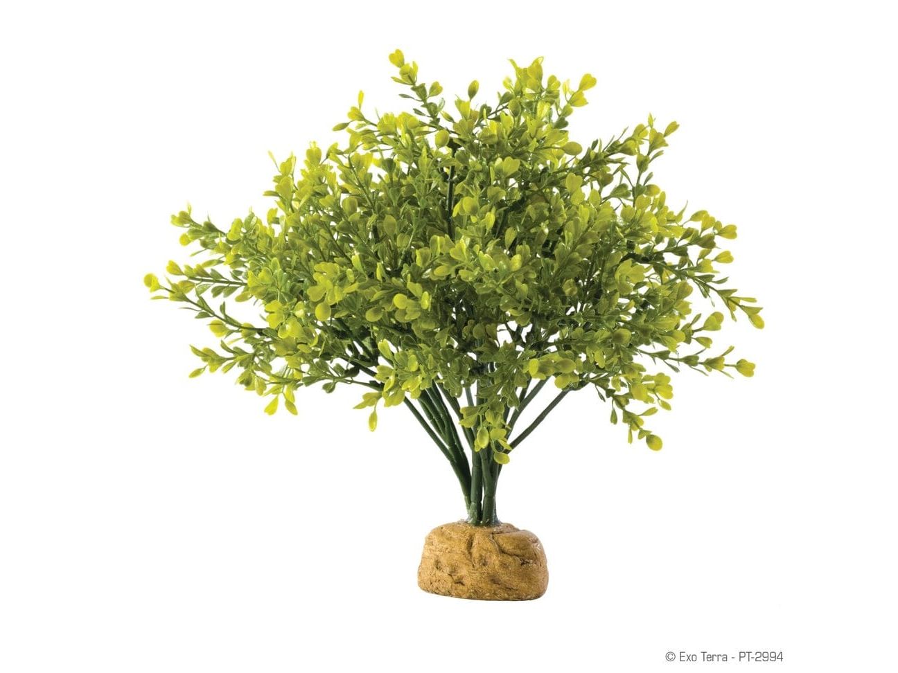Exo Terra Boxwood Bush Exo Terra