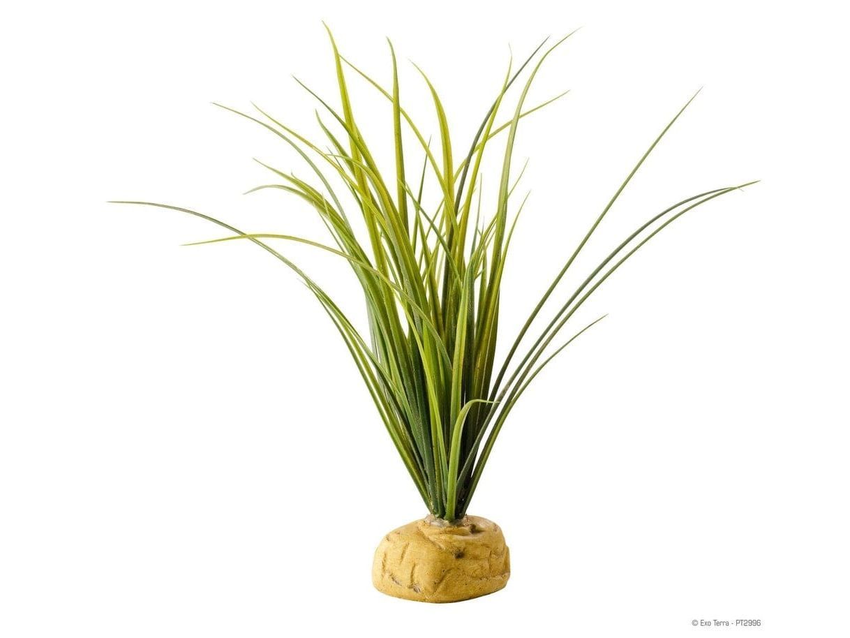Exo Terra Turtle Grass Exo Terra