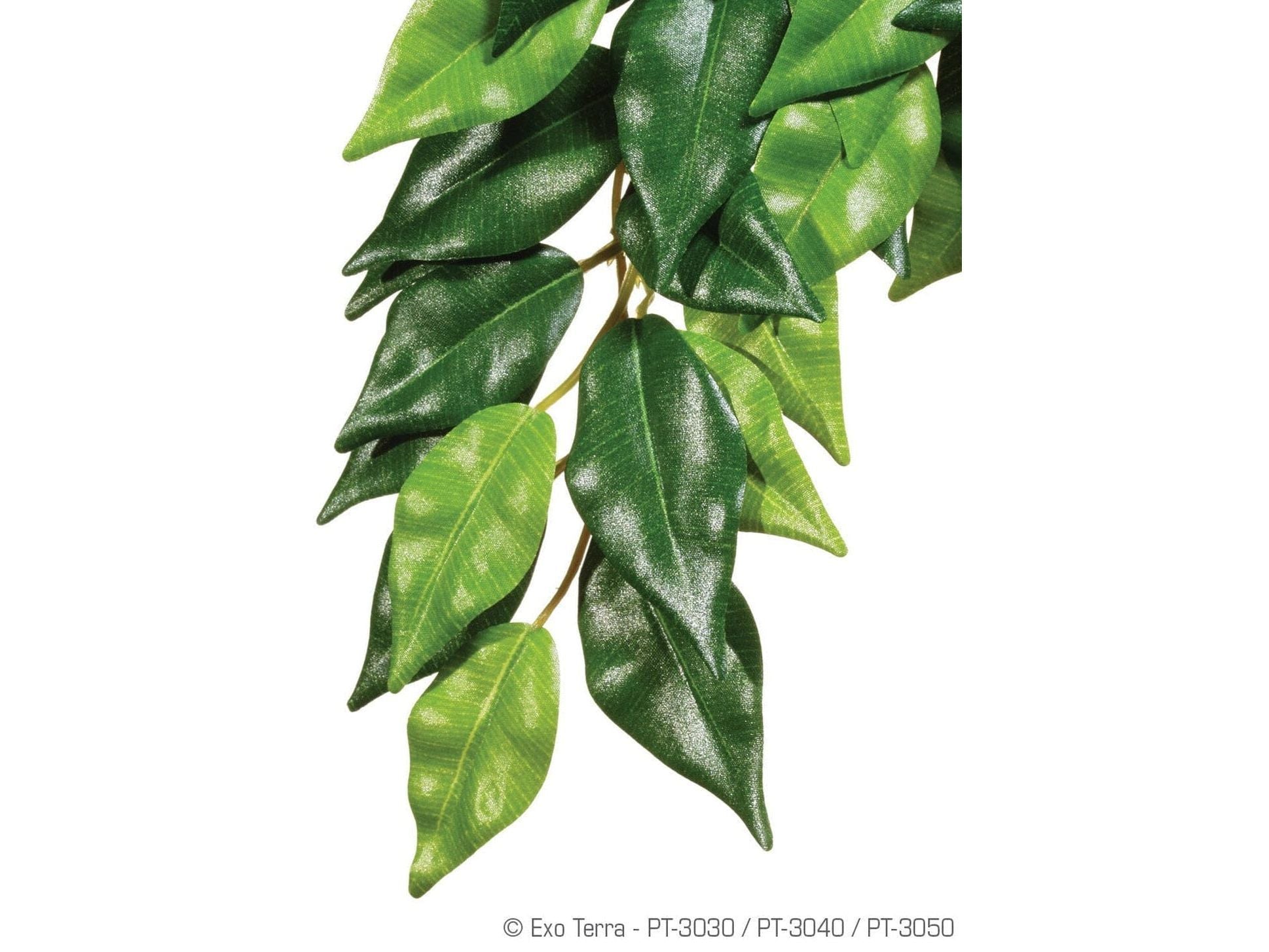 Exo Terra Ficus Silk Plant, Medium Exo Terra