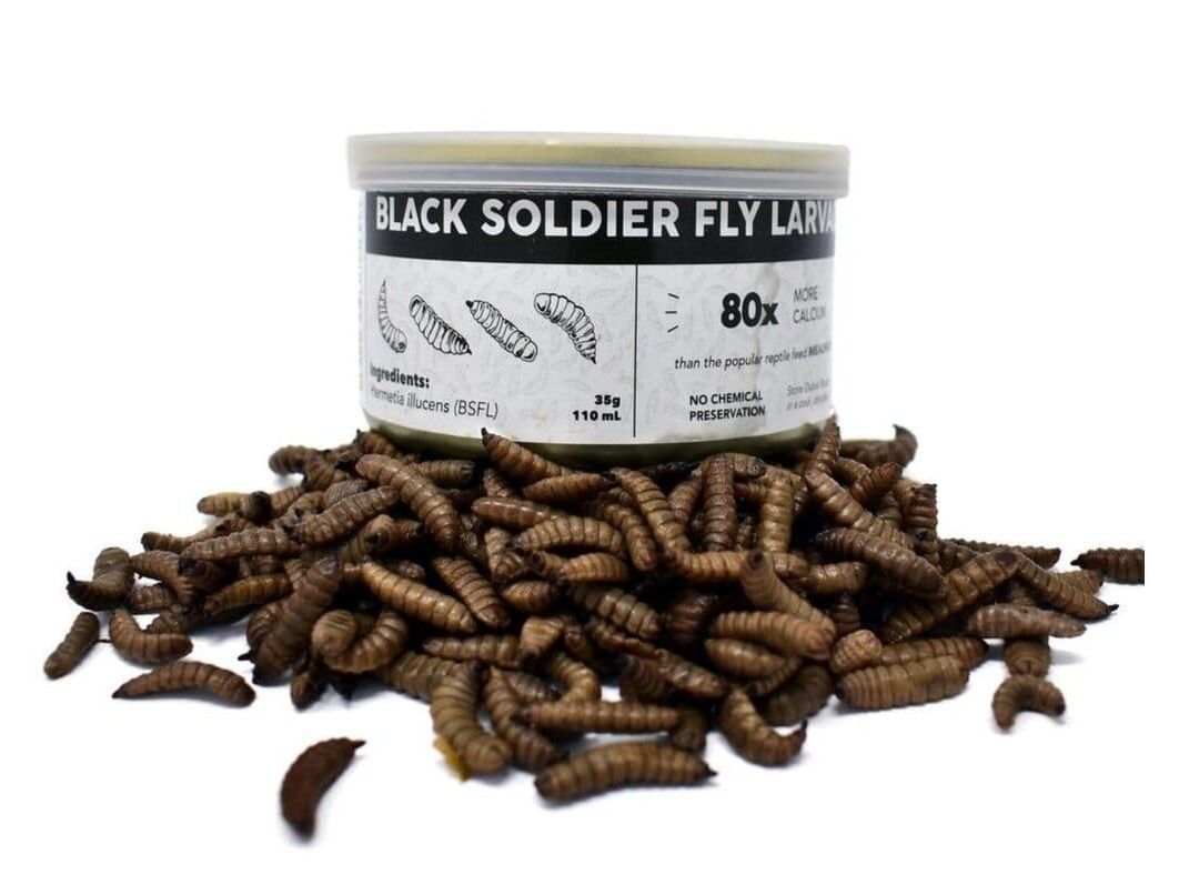 Canned Black Soldier Fly Larvae nutrigrubs DubiaRoaches.com