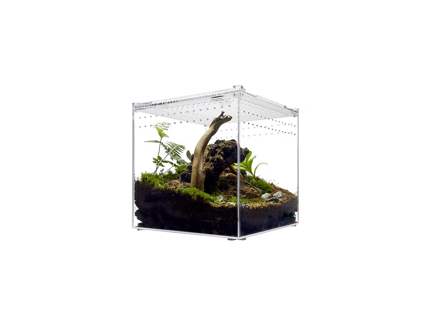 Herpcult Acrylic Enclosure Large 10"x10"x10"